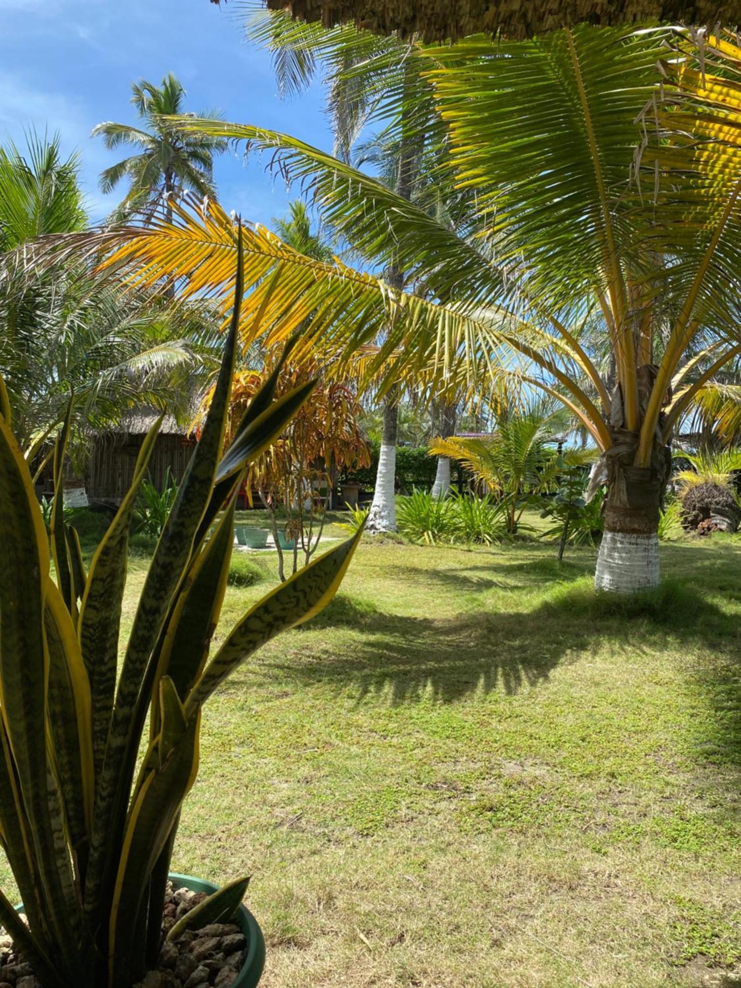 Zefiro Hostal San Bernardo del Viento Exterior photo